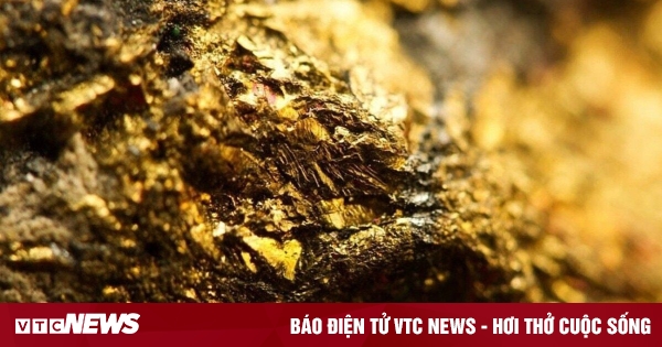 Phản ứng từ các chuyên gia và chính quyền