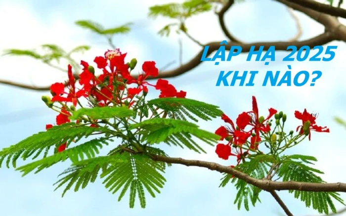 Ăn Uống Thanh Đạm, Giải Nhiệt Cơ Thể